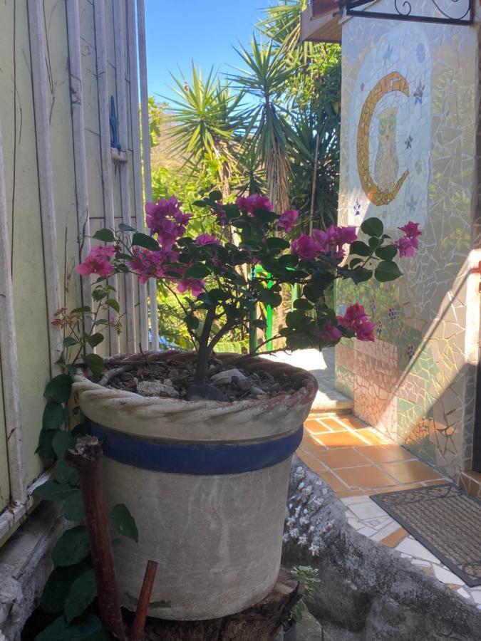 Owl House Hotel Piedades Екстериор снимка